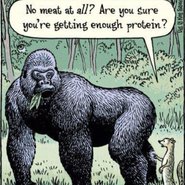 gorilla-protein-vegan1.jpg