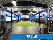 Turf_web_labeled.jpg