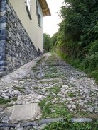 IMG_20150818_094453.jpg