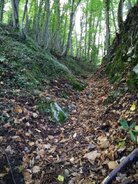 IMG_20150818_095800.jpg