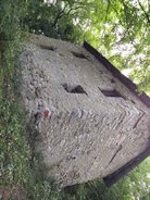 IMG_20150818_101248.jpg