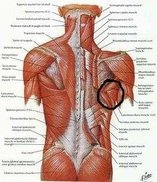 6eac53bca6caad52900c40788643fad0.jpg