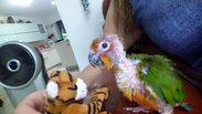 FB_IMG_1437215308381.jpg