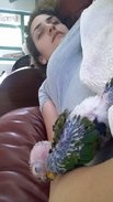 FB_IMG_1440781013932.jpg