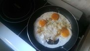 IMAG0063.jpg