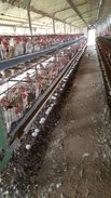 20151009_075450.jpg
