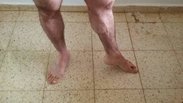 Calves.jpg