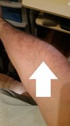 20151210_195804.jpg