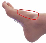 feet.JPG