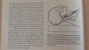 20160623_225835.jpg