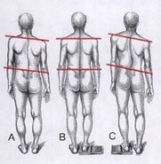 stand_on_book-294x300.jpg