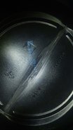 IMG-20170908-WA0020.jpg