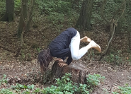 frog stand.png