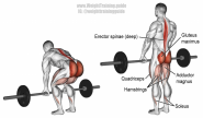 barbell-deadlift.png