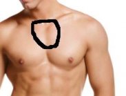 iStock_000015643491XSmall_c.jpg
