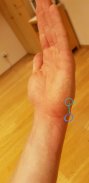 20190719_105402.jpg