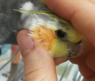 upload_2019-11-14_22-53-42.png