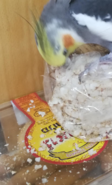 upload_2019-11-14_22-57-35.png