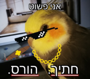 upload_2020-5-26_17-31-36.png