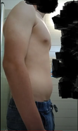 Untitled.png