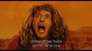 שורלק.jpg
