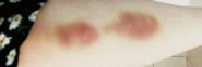 upload_2020-9-6_20-35-53.png