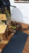20201101_203638.jpg