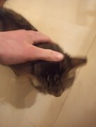 IMG_20201228_170340.jpg