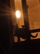 IMG_20201228_171725.jpg