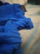 IMG_20210103_221847.jpg