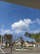 IMG_20210412_100529.jpg