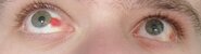 IMG_20220106_215236.jpg