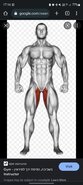 Screenshot_20220729-171655_Chrome.jpg