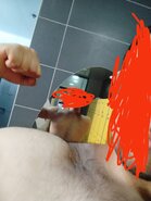 IMG_20220816_151422.jpg