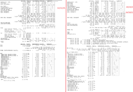 אחרי PCT.png