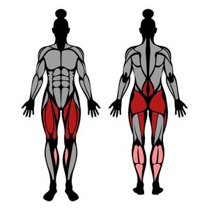 squat.jpeg