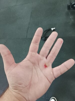 IMG_20251027_123302.jpg