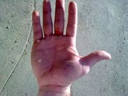 20090212.jpg