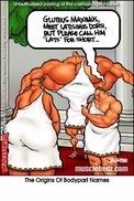 gluteus.jpg