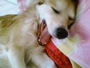 Photo0314.jpg