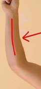 Arm2.jpg