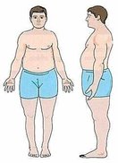 bodytype_endomorph.jpg
