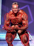 1995_arnold_classic_review_b.jpg