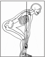 picture1-deadlift-skeleton-view.png