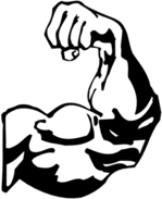 body building  bicep 1.png