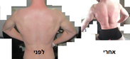 השוואה.png