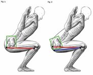 squat-fig-121.jpg