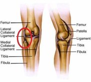 knee2.jpg