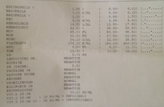 T2.png