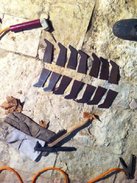 IMG-20131125-WA0000.jpg
